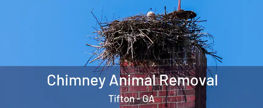  Chimney Animal Removal Tifton - GA