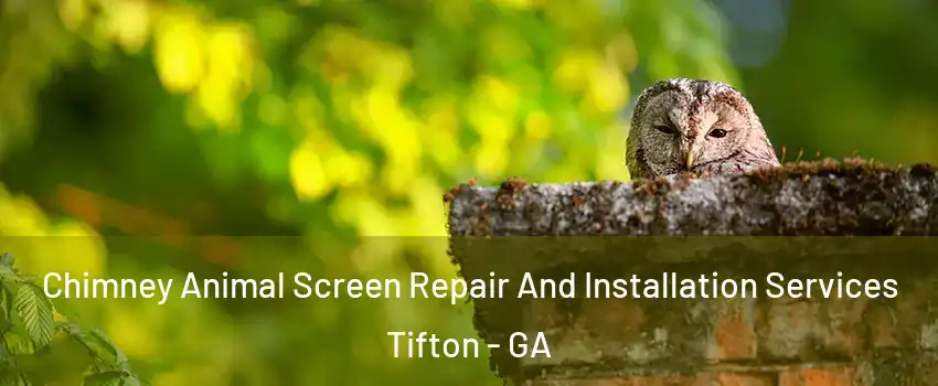  Chimney Animal Screen Repair And Installation Services Tifton - GA