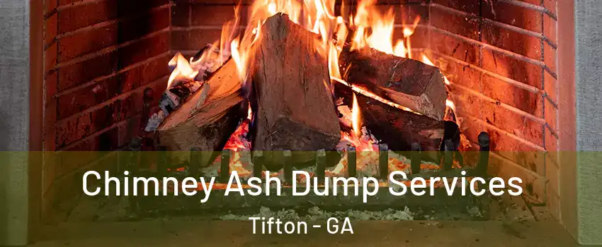  Chimney Ash Dump Services Tifton - GA