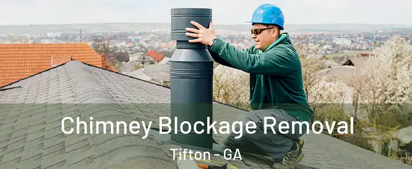 Chimney Blockage Removal Tifton - GA