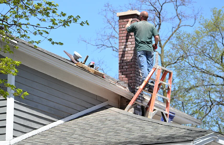 Chimney & Fireplace Inspections Services in Tifton, GA