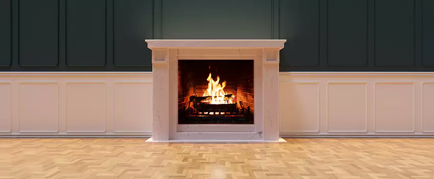 Napoleon Electric Fireplaces Inspection Service in Tifton, Georgia
