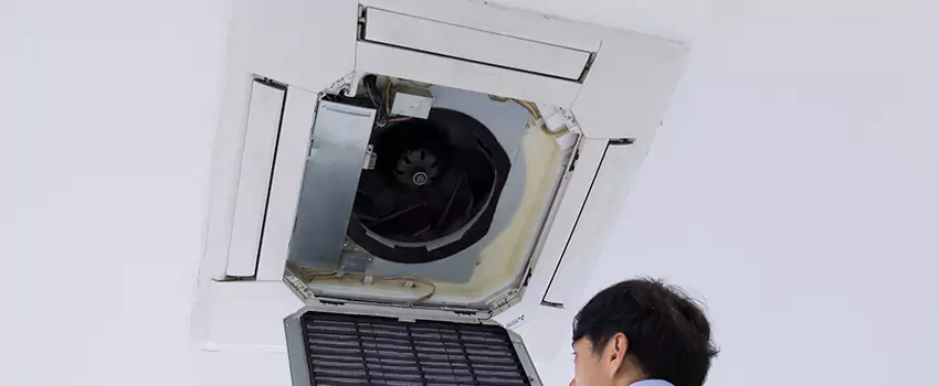 Benefits of Professional Air Duct Cleaning in Tifton, Georgia