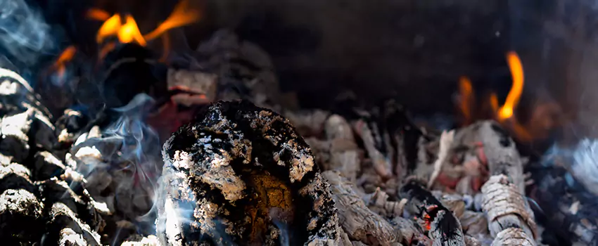 Creosote Removal Experts in Tifton, GA