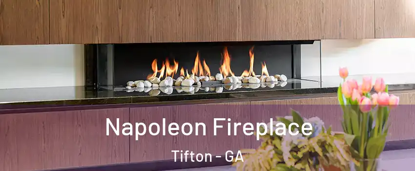  Napoleon Fireplace Tifton - GA